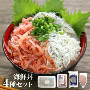 新物入荷!【送料無料】海鮮丼4種類のセット 父の日 お中元 酒の肴 生桜えび100gx1、生しらす1...