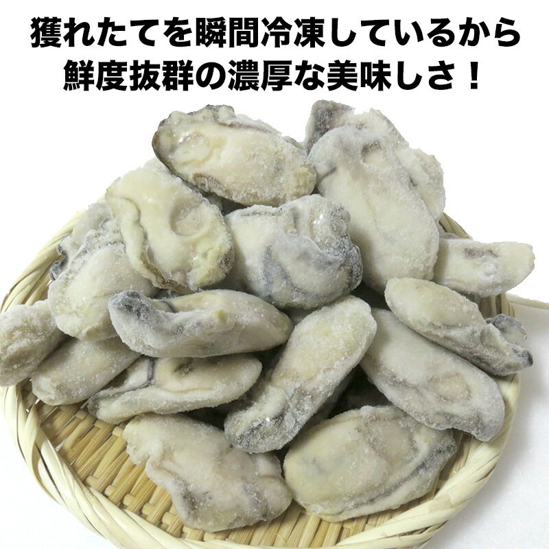 広島産　大粒Lサイズ牡蠣　業務用たっぷり1Kg　広島産　カキ　牡蠣　無添加食品　鍋パーティー　ギフト　贈り物　プリプリでおいしいよ　バター焼き　雑炊　カキフライ