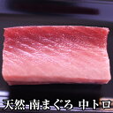 【送料無料】天然南まぐろ中トロ500g 焼津港直送便 焼津と言えば南まぐろ 極上天然南まぐろ 食べやすい中トロ鮪 旨みの濃い「南マグロ」ギフト 贈り物 みなみま...
