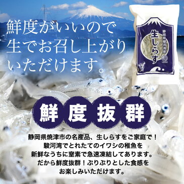 駿河湾産　生しらす　100g　天然無添加　鮮度抜群　美味しい生シラス　おつまみ　生しらす丼　酒のさかな