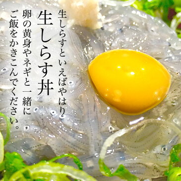 駿河湾産 生しらす 300g 天然無添加 鮮度抜群 美味しい生シラス おつまみ 生しらす丼 酒のさかな