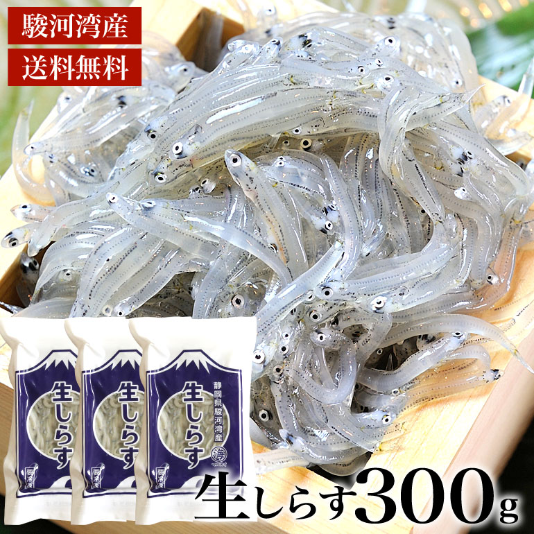 2023年新物入荷！【送料無料】駿河湾産　生しらす　300g　天然無添加　鮮度抜群　美味しい生シラス　おつまみ　生しらす丼　酒のさかな