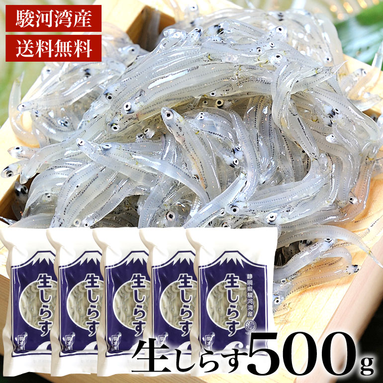 2022年新物入荷！生しらす　500g　駿河湾産　天然無添加　鮮度抜群　美味しい生シラス　おつまみ　生しらす丼　かき揚げ 酒の肴 どろめ（ドロメ・生しらす）