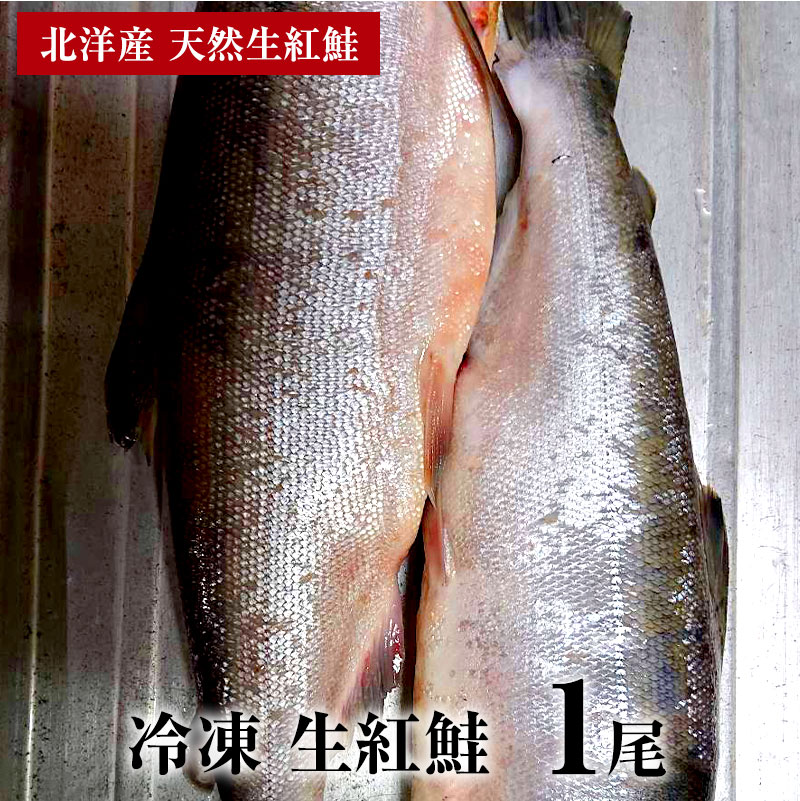 天然無添加　冷凍 生紅鮭 1尾（約1.8kg）　北洋産紅鮭　特上　紅鮭 無塩ベニサケ お鍋 煮付け ちゃんちゃん焼き