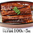 うなぎ蒲焼100gハーフカット　5枚　ウナギ 鰻 蒲焼き うなぎ 贈り物 ギフト プレゼント グルメ 父の日 お中元 お歳暮 土用丑の日