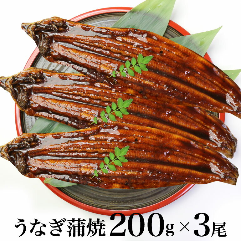 【送料無料】特大うなぎ蒲焼 200gx3尾 たっぷり600g　ウナギ 鰻 蒲焼き うなぎ 贈り物 ギフト 父の日 お中元 お歳暮 土用丑の日 暑中見舞い 残暑見舞い 敬老の日ギフト 日本の厳しい検査をうけた安心で美味しい中国産うなぎ蒲焼