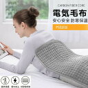電気毛布 電気マット 足元暖房 敷物 ホットマット 電気カーペット ホットカーペット 電気ヒーター ミニマット 加熱パッド 水洗いOK ひざ掛け 足温器 防寒保...