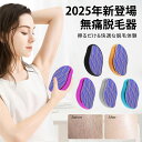 【2025年 新登場】無痛脱毛器 擦るだけ 最新型 角質除去 だつもうき脱毛器 物理脱毛 毛成長抑制 男女兼用 コンパクト 家庭用 旅行用 お手入れ簡単 環境に優しい メンズ レディース 脱毛ケア 肌なめらか