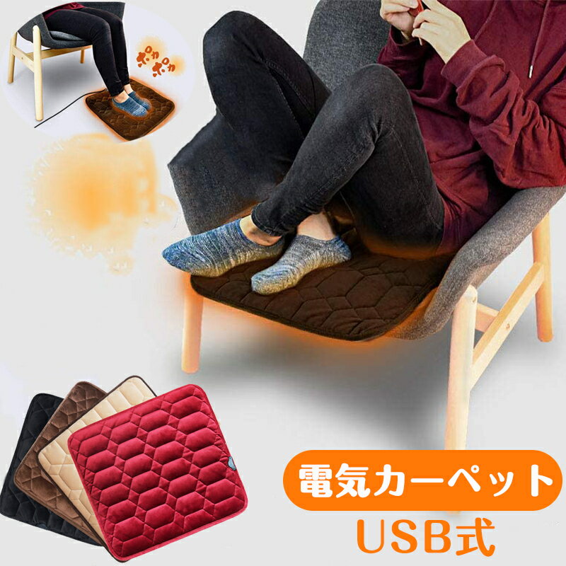 ホットマット ホットカーペット 45×45cm ミニ 電気カーペット USB 一人用 ヒーター ペット キャンプ ミニマット 座布団 冷え コンパクト 犬 猫 あったか ペットヒーター 寒さ対策 暖房器具 過熱防止 ソフト 節電 省エネ