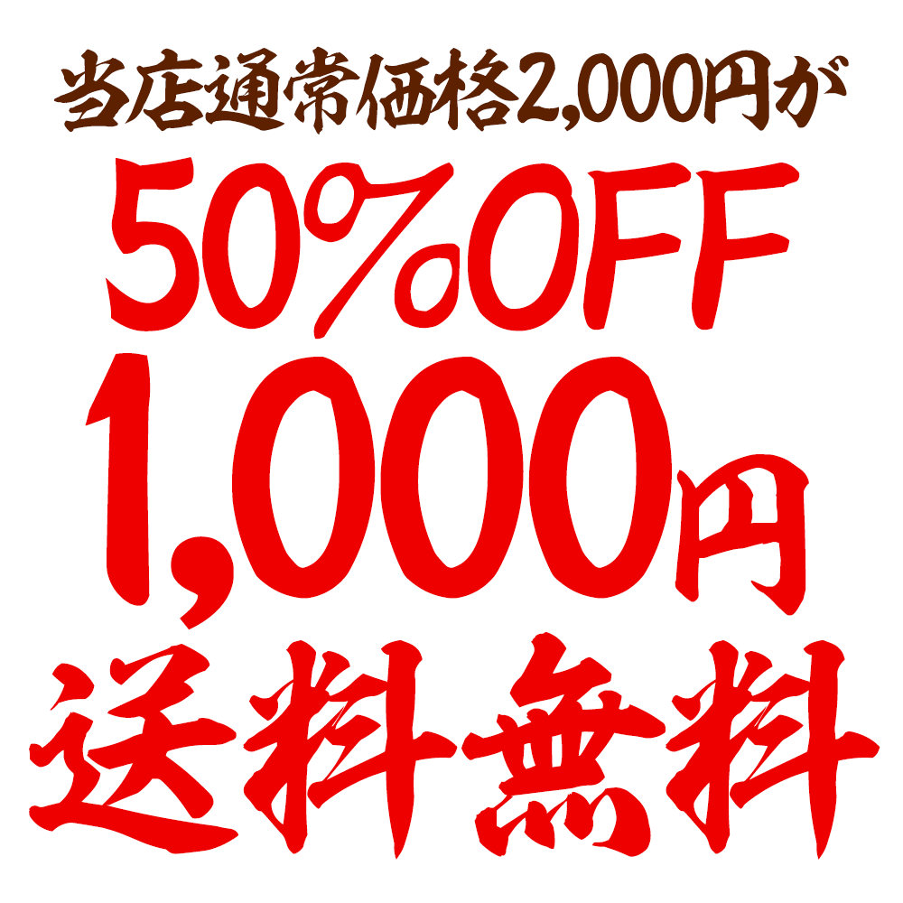 【当店通常価格2000円⇒1000円】カレーうどん 超大盛り 焼き豚専門店のカレーうどん 讃岐うどん　送料無料