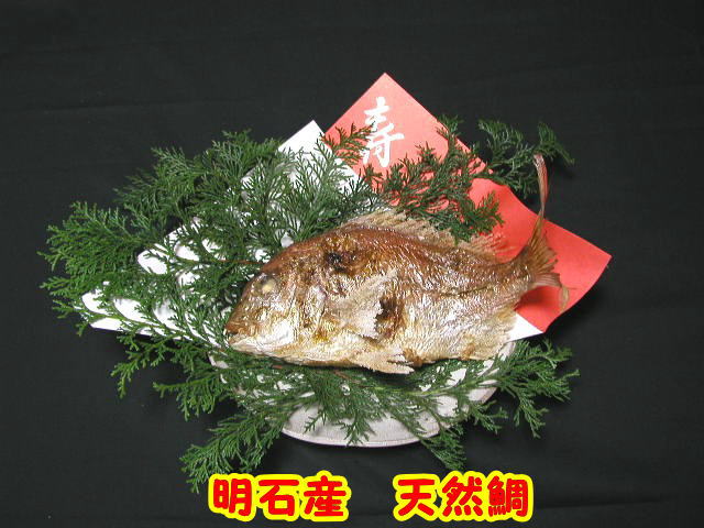 明石名産【魚秀の焼鯛】天然・明石鯛・生の時1.0kg位