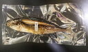 【炭火焼:あじ】1尾入【美味しさ&風味】を丸ごと【真空パック】3月~11月下旬季節商品