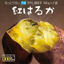 紅はるか 焼き芋 冷蔵 冷やし焼き芋 ひえひえ君 芋スイーツ サツマイモ 1Kg 送料無料 1 (一部地域は別途料金がかかります)