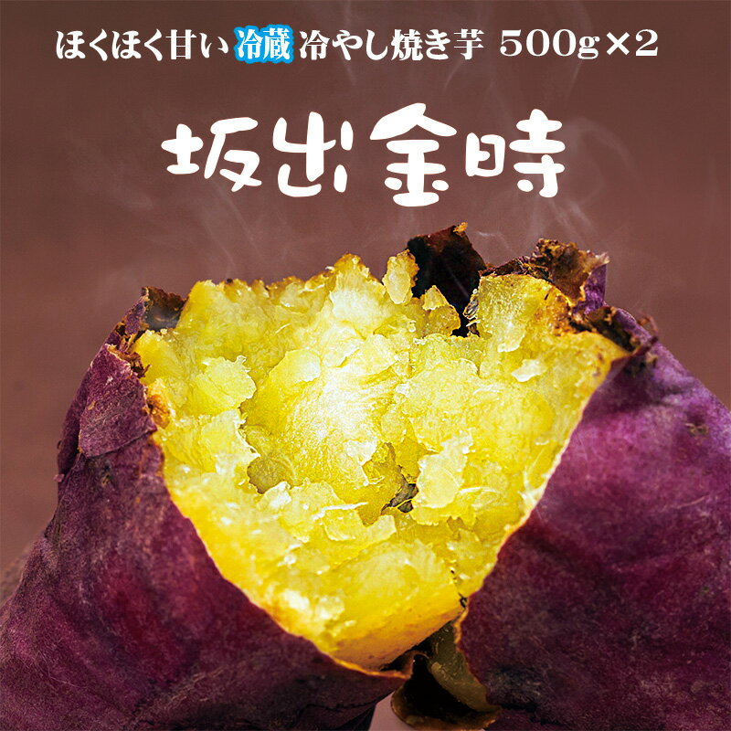 香川県産 新芋 希少 高級ブランド芋「坂出金時」この時期でも早堀りのため熟成がしっかりかかっておりホクホク系でありながら冷やし焼きいもでも対応できるレベルです。ほくほく系代表品種高系14号からの改良品種。熟成新芋 内容量計1kg（約500g×2袋）全体でM〜Lサイズ4〜6本入りです。 賞味期限　冷蔵で2週間　長時間（常温）には置かないでください。即冷凍で3ヶ月保存可能 送料無料　やきいも 冷やし焼き芋