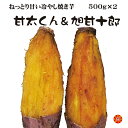 やきいも 紅はるか 焼き芋 東西激甘いも 食べ比べ「甘太くん」「旭甘十郎」冷蔵 芋スイーツ 冷やし焼き芋 ひえひえ君 スイートポテト 1..