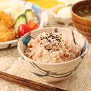 【8月1日限定11%OFFクーポン】信楽焼 飯碗 茶碗 おしゃれ 陶器 日本製 碧水飯碗 w399-04