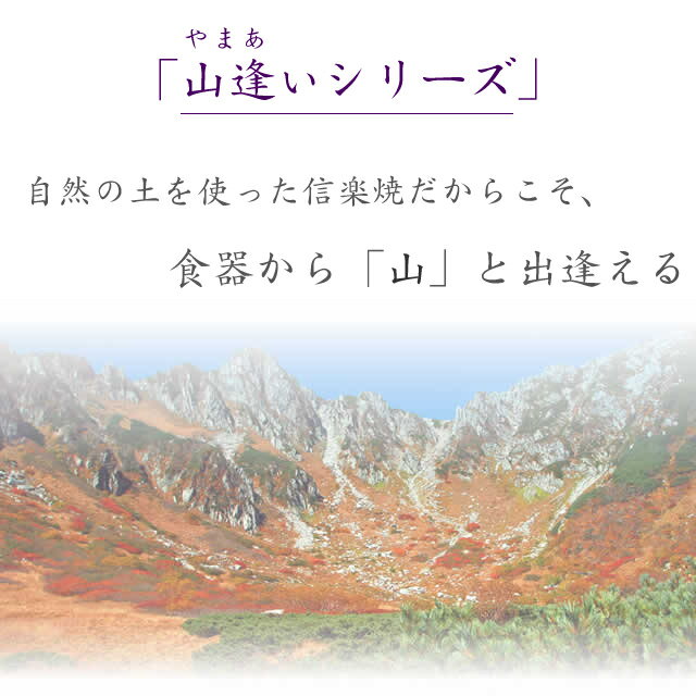 【5月23日20時開始10%OFFクーポン】信楽焼 小皿 11.5cm 和食器 お皿 おしゃれ 豆皿 取り皿 和風 丸皿 醤油皿 薬味皿 漬物皿 プレート 結婚祝い 山逢いシリーズ 手毬（利休/藍錆）小皿 ya-0007 3