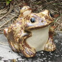 信楽焼 3号蛙 縁起物カエル お庭に玄関先に陶器蛙 やきもの 陶器 しがらきやき 蛙 陶器かえる 信楽焼カエル ka-0002