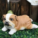 【8月1日限定11%OFFクーポン】イヌ置物 ブルドック子犬(茶)置き物 信楽焼ブルドッグ 犬置物 いぬ 陶器 やきもの ガーデニング インテリア ギフト しが...