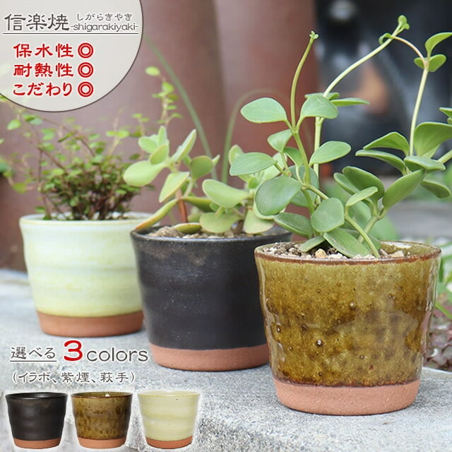 信楽焼 植木鉢 陶器 おしゃれ 山草鉢 フラワーポット サボテン鉢 多肉鉢 プランター 国産 鉢植え 盆栽鉢 山野草鉢 鉢 焼き物 選べる3色 てまりフラワーポット（小） sa-0328