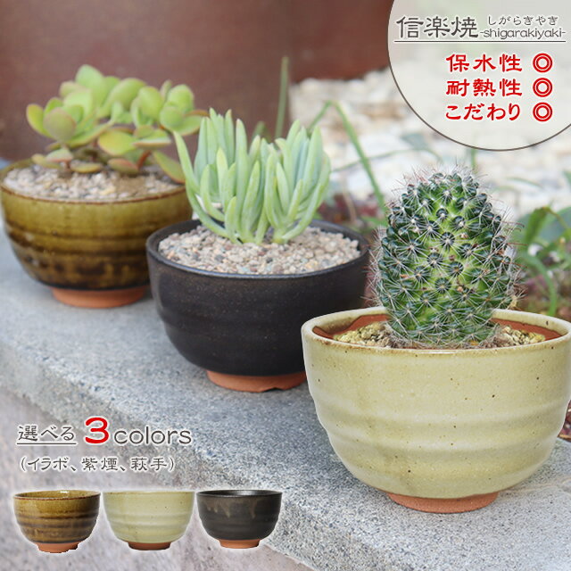 楽天市場】陶器鉢 国産の通販 楽天市場】陶器鉢 国産の通販