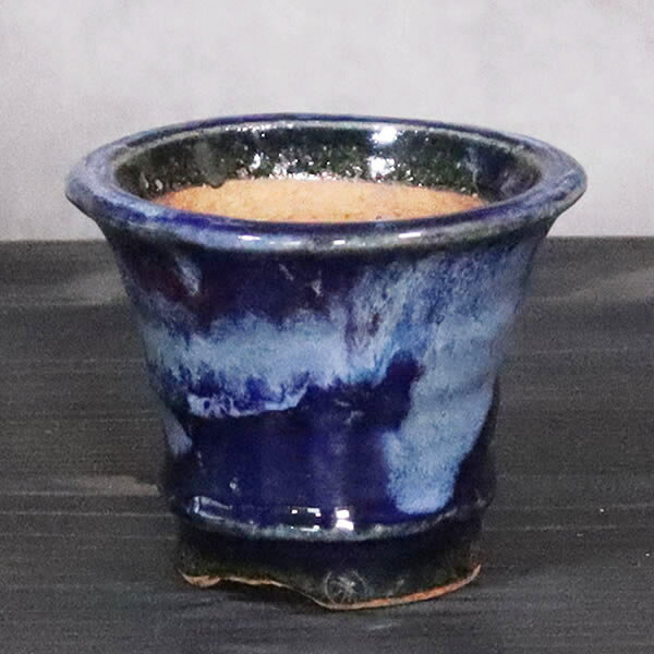 乐天商城 - 【期間限定10%OFFクーポン配布中】山草鉢 手作りの陶器植木鉢 山野草鉢 信楽焼 山草 鉢 しがらき 陶器鉢 植木 やきもの 信楽焼鉢 手づくり 多肉植物 塊根植物 sa-0366