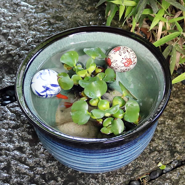 【4月23日20時開始15％OFFクーポン】訳あり メダカ鉢 金魚鉢 睡蓮鉢 水鉢 手水鉢 すいれん鉢 陶器鉢 めだか鉢 ハス鉢 水連鉢 鉢 信楽焼 しがらき 睡蓮 陶器 スイレン鉢 蓮 10号藍の色千段水鉢 su-0278のサムネイル