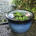 メダカ鉢 金魚鉢 睡蓮鉢 水鉢 手水鉢 すいれん鉢 陶器鉢 めだか鉢 ハス鉢 水連鉢 鉢 信楽焼 しがらき 睡蓮 陶器 スイレン鉢 蓮 10号藍の色千段水鉢 su-0107