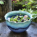 すいれん鉢 信楽焼すいれん鉢 メダカ鉢 金魚鉢 睡蓮鉢 陶器スイレン鉢 ハス鉢 はす鉢 めだか鉢 鉢 陶器 水連鉢 水鉢 信楽焼き睡蓮鉢 手水鉢 陶器鉢 青 ガ...