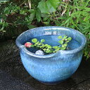 【今だけ限定10%OFFクーポン配布中】信楽焼 メダカ鉢 おしゃれ 水鉢 睡蓮鉢 陶器 めだか 鉢 金魚鉢 青 メダカ ビオトープ ハス鉢 水連鉢 手水鉢 水槽...