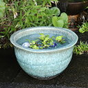【今だけ限定10%OFFクーポン配布中】信楽焼 メダカ鉢 おしゃれ 水鉢 睡蓮鉢 陶器 めだか 鉢 金魚鉢 青 メダカ ビオトープ ハス鉢 水連鉢 手水鉢 水槽...