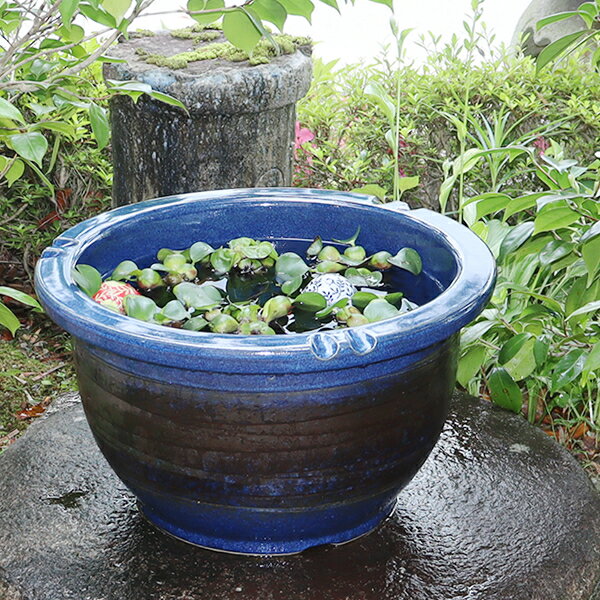 y10%OFFN[|z15Ȃ܂F MyĂ _JA ɂœK @ XC nX ͂ ߂   A  @ MyĂ@ 萅@water lily bowl@fish tank su-0117