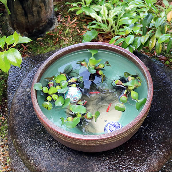 幸運を招くには玄関前のお花から 風水の観点から見るガーデニングアイデアをご紹介 Kurashi No