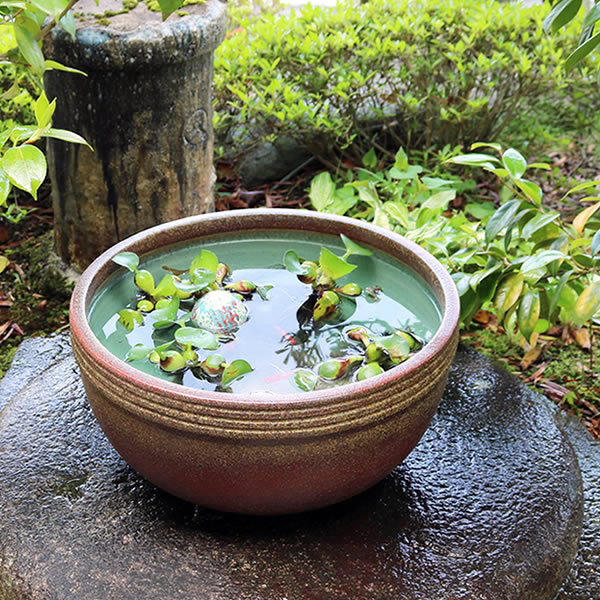 【今だけ10 OFFクーポン】メダカ鉢 おしゃれな睡蓮鉢 金魚鉢 金魚鉢にも最適 睡蓮鉢 陶器スイレン鉢 ハス鉢 はす鉢 めだか鉢 鉢 陶器 水連鉢 水鉢 睡蓮鉢 信楽焼き睡蓮鉢 手水鉢13号窯肌ボール型 su-0082