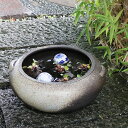 13号滋すいれん鉢 信楽焼すいれん鉢 メダカ鉢、 金魚鉢にも最適 睡蓮鉢 陶器スイレン鉢 ハス鉢 はす鉢 めだか鉢 鉢 陶器 水連鉢 水鉢 信楽焼き睡蓮鉢 手水...