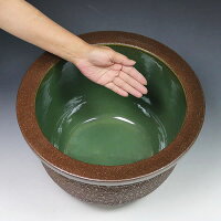 13号松皮スイレン鉢