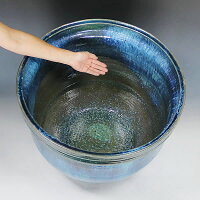 スイレン鉢信楽焼睡蓮鉢大型水鉢陶器水鉢すいれん鉢金魚鉢メダカ鉢めだか鉢金魚鉢