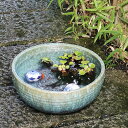 水鉢 すいれん鉢 信楽焼すいれん鉢 メダカ鉢、 金魚鉢にも最適 睡蓮鉢 陶器スイレン鉢 ハス鉢 はす鉢 めだか鉢 鉢 陶器 水連鉢 水鉢 信楽焼き睡蓮鉢 手水鉢...