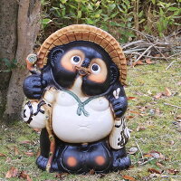 18号福狸