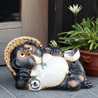 11号ごろ寝たぬき