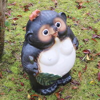 信楽焼き18号メス狸