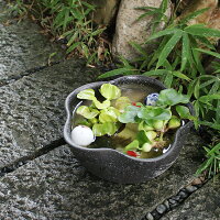 10号黄釉ハケメ花型水鉢