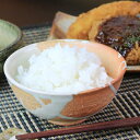 【5月1日開始11%OFFクーポン】信楽焼 飯碗 おしゃれ 茶碗 ご飯茶碗 陶器 器 うつわ 飯茶碗 茶漬け碗 和食器 どんぶり 丼ぶり 天元飯碗（大） w399-11-L