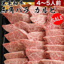 【スーパーセール30％OFF】 焼肉 バーベキュー セット 
