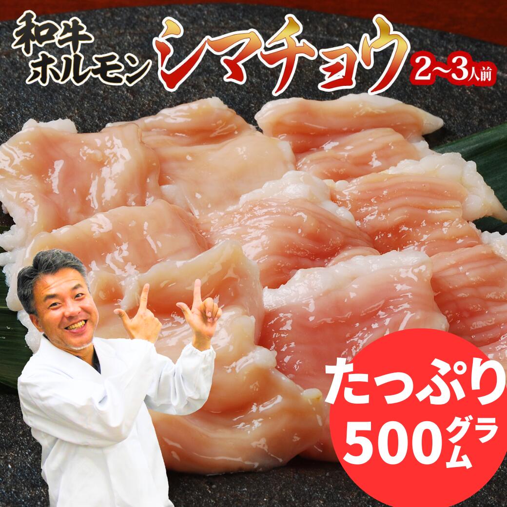 【買い物マラソン最大2000円OFFクーポン】 焼肉 肉 シマチョウ 500g 大腸 ホルモン 6人前 ～ 8人前 BBQ バーベキュー ホルモン焼き 黒毛和牛 国産 和牛 松阪牛 やまと の ホルモン焼き シリーズ ギフト 牛肉