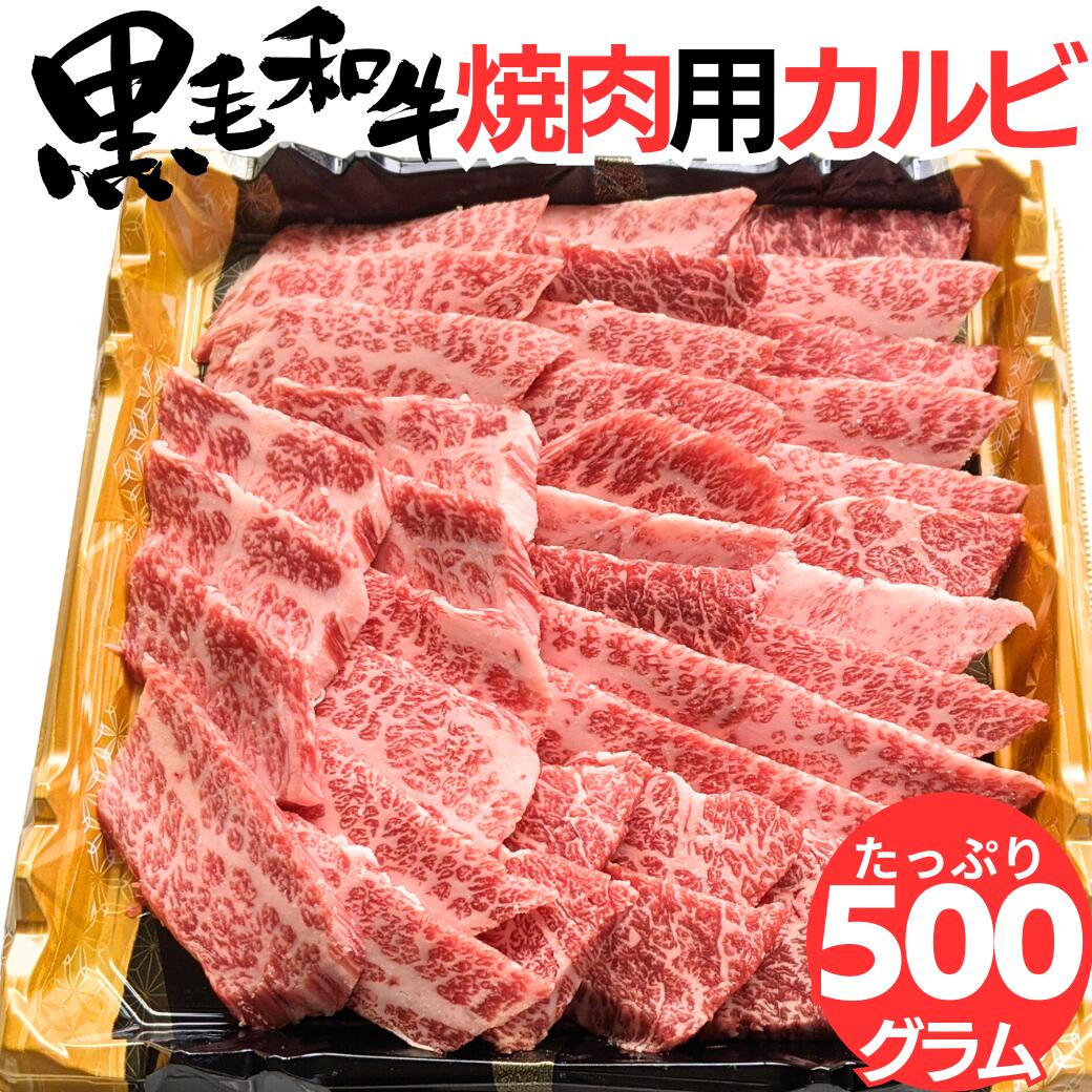 肉セット 父の日 お中元 誕生日 内祝い 肉 お肉焼肉 セット 黒毛 和牛 カルビ 500g 4人前 ~ 5人前 タレ付き 【簡易包装】 バーベキュー BBQ 誕生日 プレゼント 牛 肉 国産 a5 牛肉 焼き肉 お肉 グルメ 食べ物 送料無料 ギフト