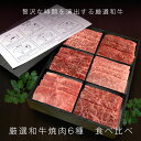 焼肉 食べ比べ 6種類 セット 300g 即日出荷 黒毛和牛焼肉 6点 食べ比べ焼肉 バーベキュー bbq 厳選 黒毛 和牛 A5限定 タレ付 赤身 お歳暮 御歳暮 お歳暮 内祝い 内祝 冷凍 高級肉 カルビ ギフト 送料無料 牛肉 焼き肉 お肉 グルメ 食べ物 プレゼント 誕生日 通販 お取り寄せ