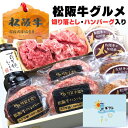 ギフト 牛肉 松阪牛 肉 ハンバーグ すき焼き 牛肉 詰め合わせ 内祝い 松坂牛 デラックス セット C ハンバーグ x3 メンチカツ x4 切り落とし 250...