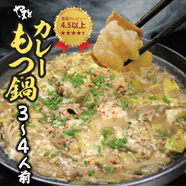 お試しカレーもつ鍋セット500g お子様にも人気の【カレー味】2〜3人前セット スタミナホルモン 全国送料無料 鍋パ ホルモン ギフト お取り寄せ 贈り物 誕生日 お祝 内祝 高級 退職祝い 2019 お歳暮 冬ギフト 博多 キャッシュレス 還元