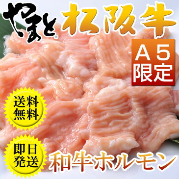 【あす楽 年中無休対応】【和牛ホルモン（500g）】 焼肉用 牛肉 人気に訳あり・レビュ−にわけあり♪ 【お歳暮 2人前〜3人前 お祝い 引越し祝い 入学祝い 入園祝い 出産祝い 出産内祝い グルメ プレゼント】